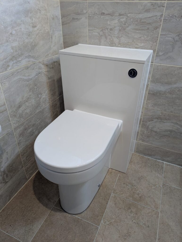 Vanity toilet