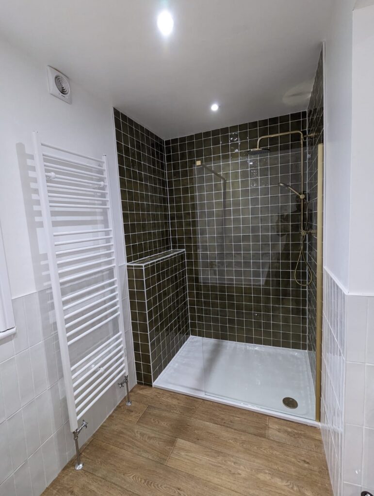 Shower and towel rad